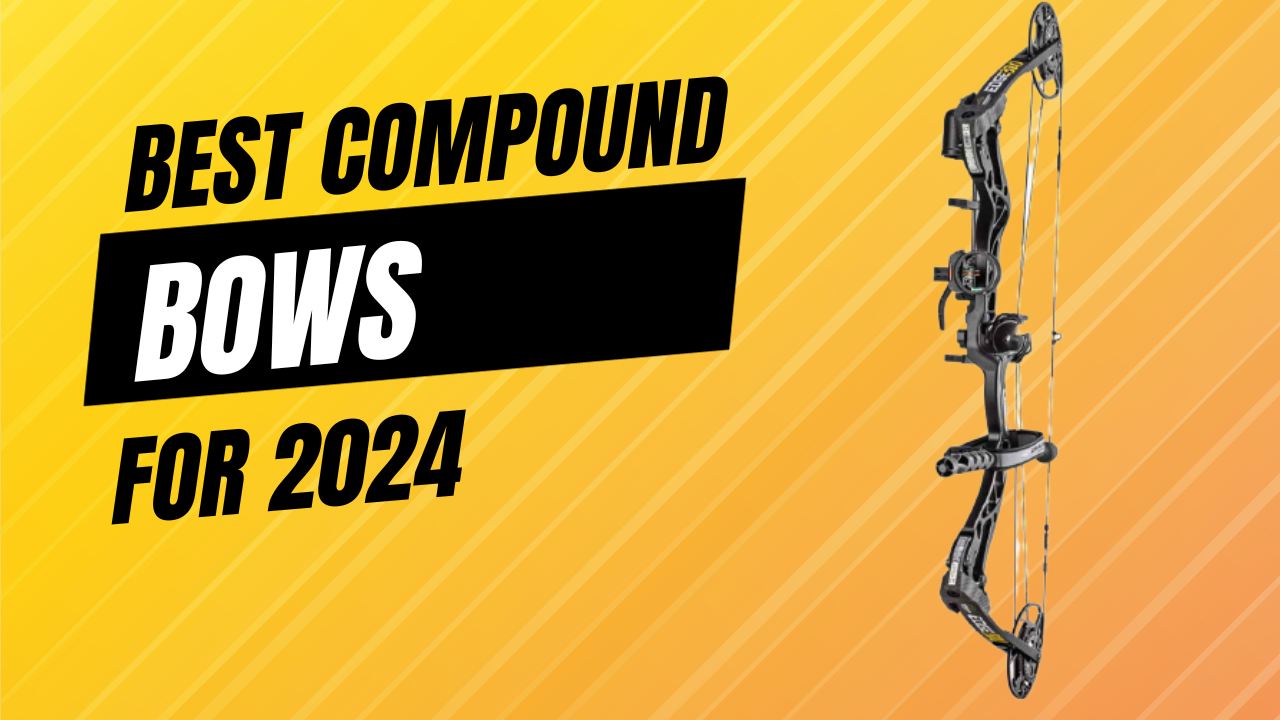 12 Best Compound Bows 2024 GearProvement