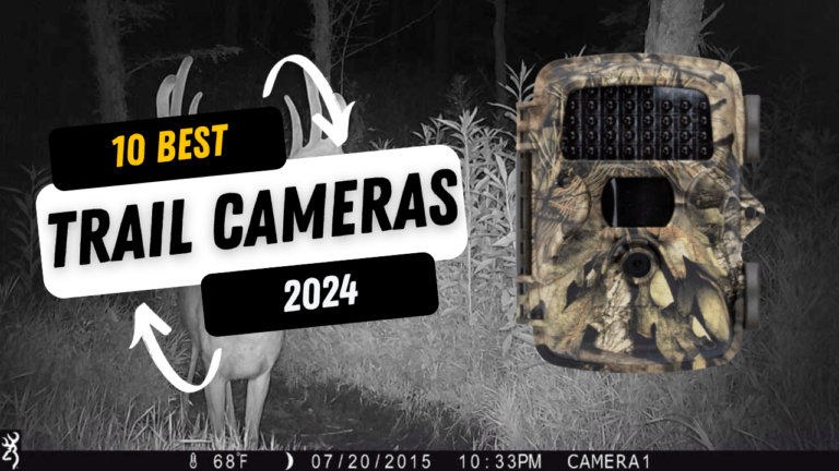 10 Best Trail Cameras 2024 Gearprovement