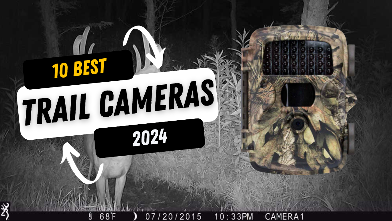 10 Best Trail Cameras 2024 GearProvement